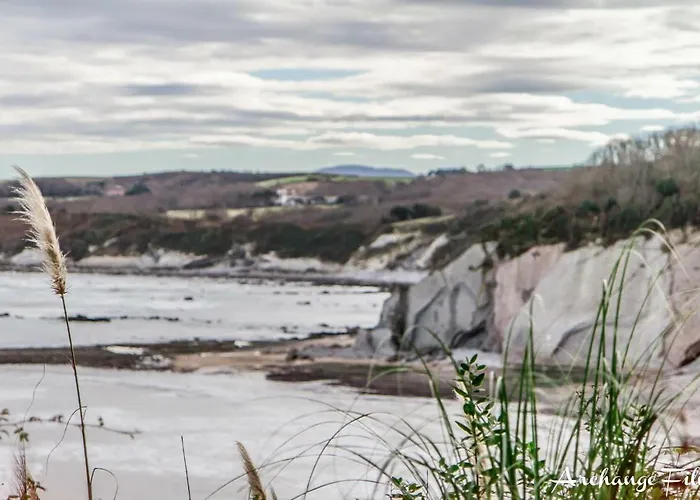 Апартаменты Front De *