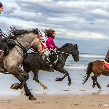 Front De Appartamento